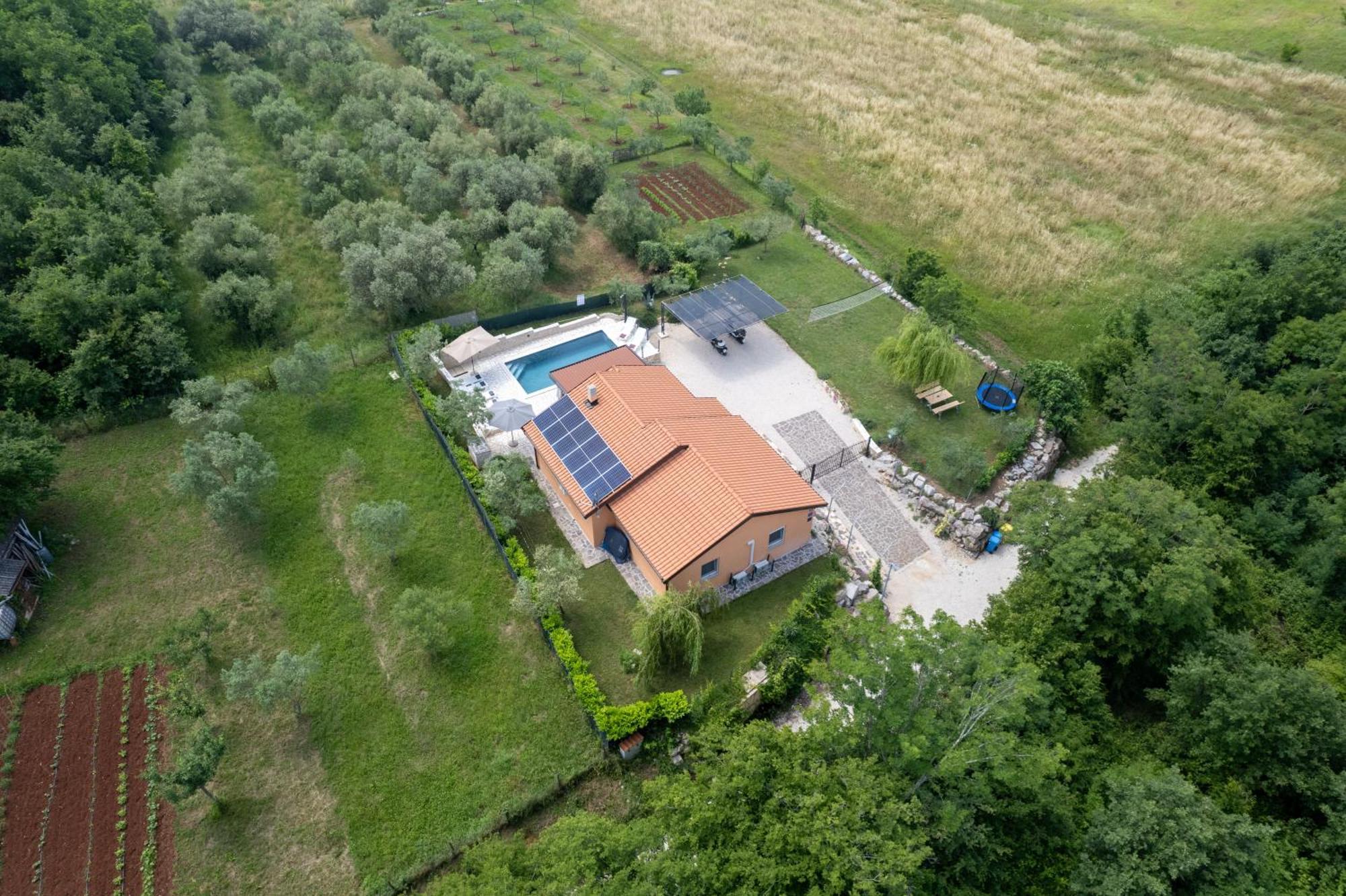 Villa Pendolina With Private Pool Buje Exterior foto