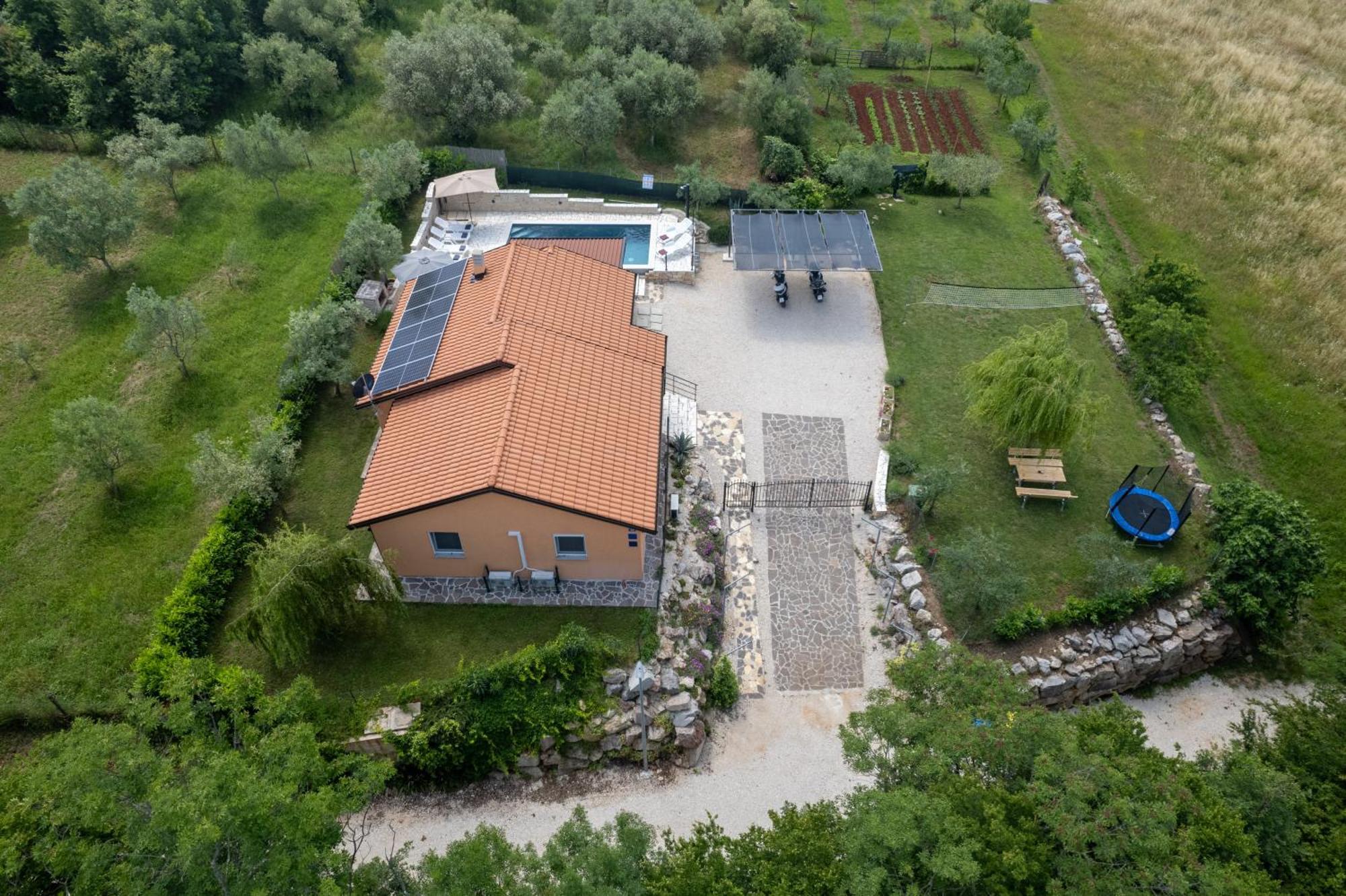 Villa Pendolina With Private Pool Buje Exterior foto