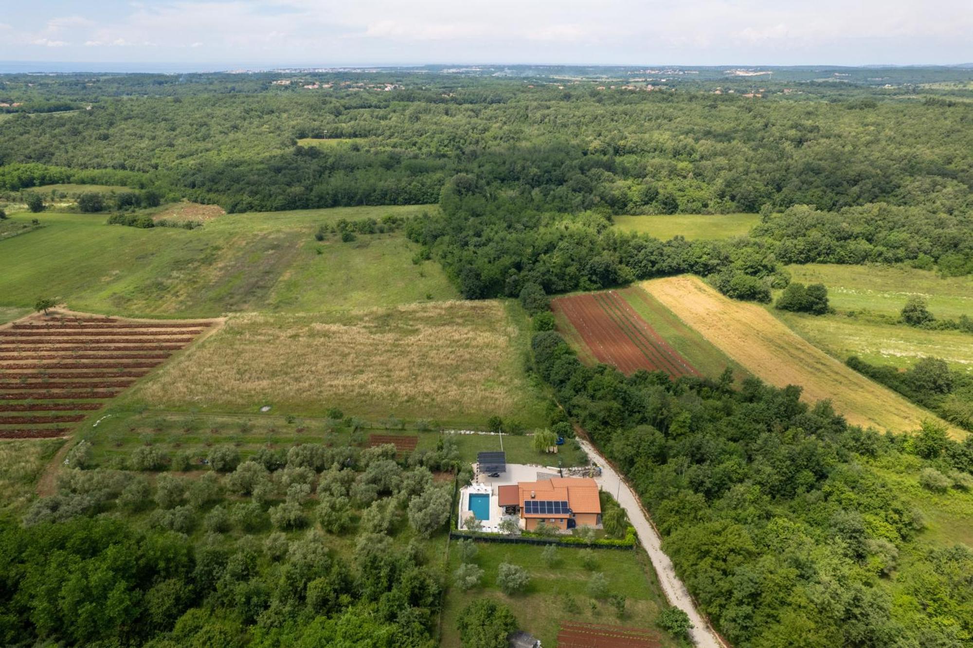 Villa Pendolina With Private Pool Buje Exterior foto